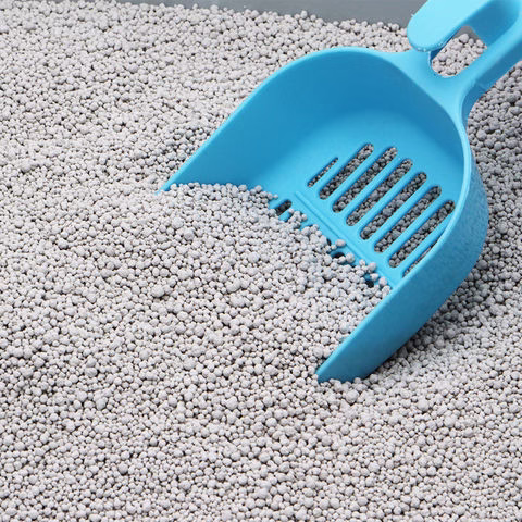 Freshen Up Fast: Comprehensive Breakdown of How to Get Rid of Cat Litter Smell Fast